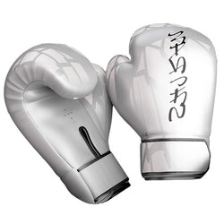 Silver Boxing Gloves